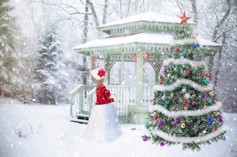 Quando si fa l’albero di Natale? Il sito dei Quando