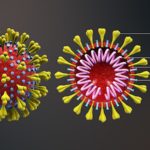 Quando usare le mascherine per virus e batteri (per coronavirus)?