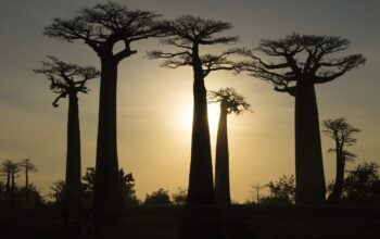 viaggio in Madagascar